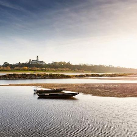 Appart' Cosy En Bord De Loire Saumur Eksteriør billede
