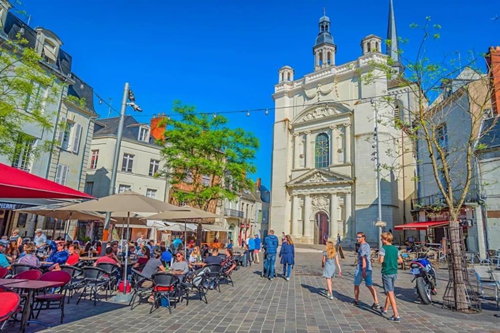 Appart' Cosy En Bord De Loire Saumur Eksteriør billede