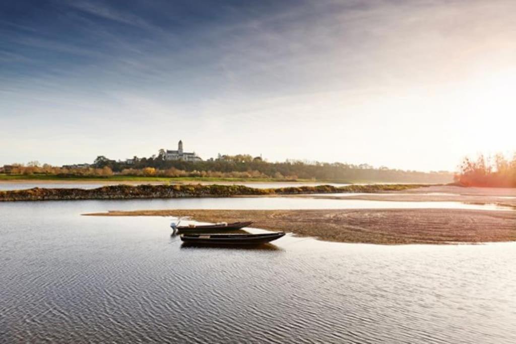 Appart' Cosy En Bord De Loire Saumur Eksteriør billede